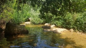 גן לאומי נחל צלמון