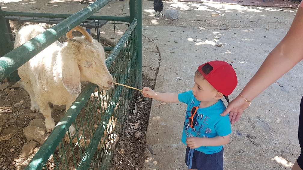 אגם חי בקיבוץ יראון