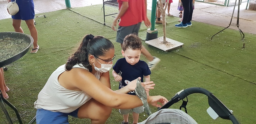 חוות התוכים בכפר הס