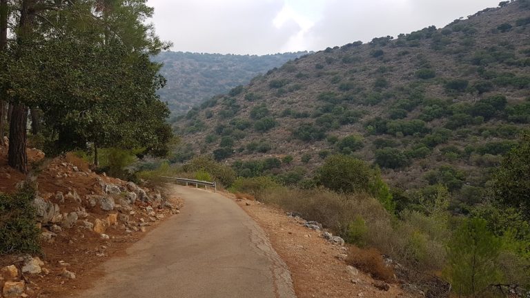 נחל בצת שרך גליל מערבי