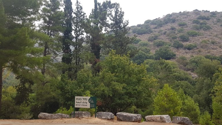 נחל בצת שרך גליל מערבי