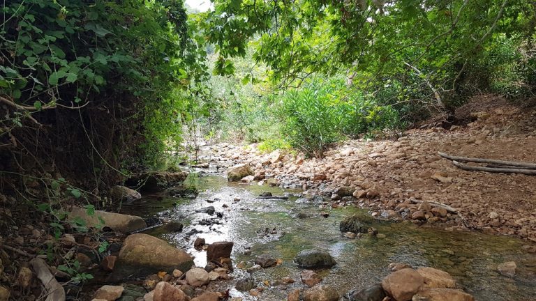 נחל בצת שרך גליל מערבי