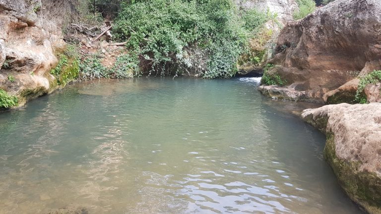 נחל בצת שרך גליל מערבי