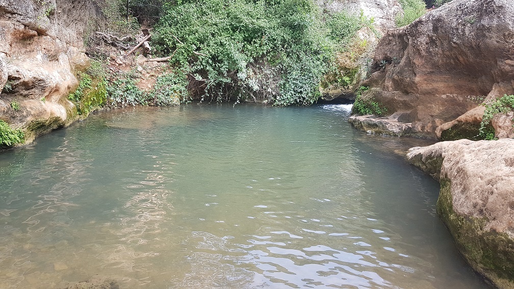 נחל בצת שרך גליל מערבי