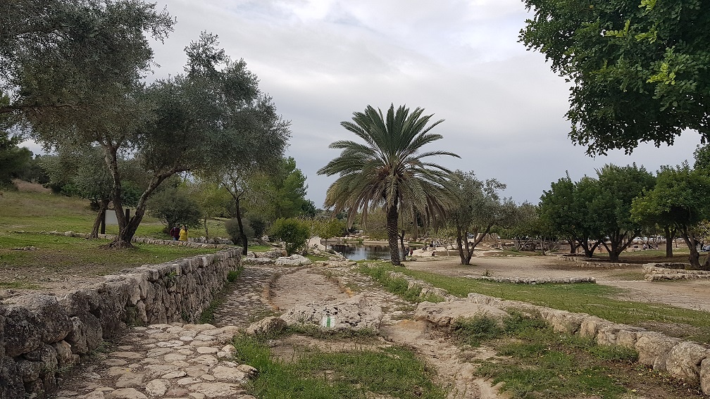 פארק איילון קנדה – מסלולי טיול ונקודות פיקניק