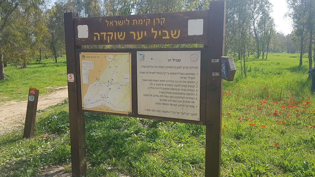דרום אדום יער שוקדה