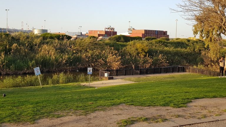 פארק נחל לכיש באשדוד – טבע, חיות ושעשועים והכל בחינם