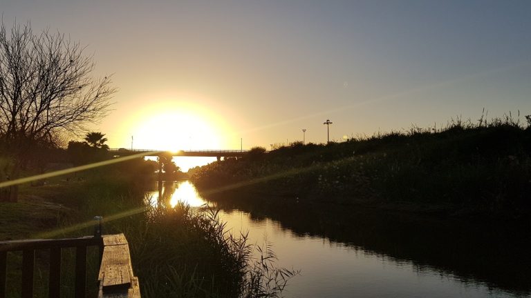 פארק נחל לכיש באשדוד – טבע, חיות ושעשועים והכל בחינם