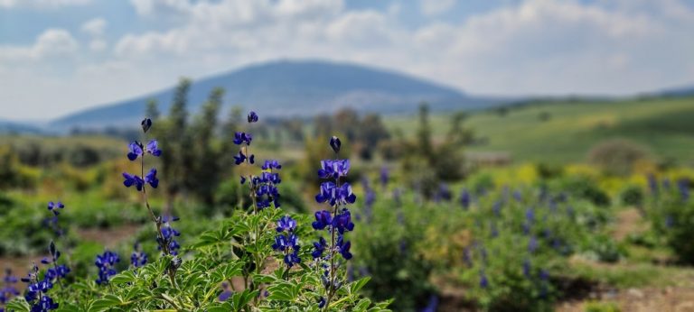 עין קאזאן עין חיזר – מעיין בכפר כמא אל מול נופי הר התבור