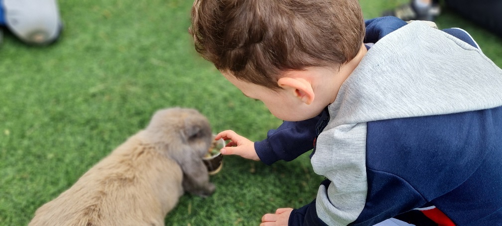 כפר הארנבונים חוות נגר – בית לחם הגלילית