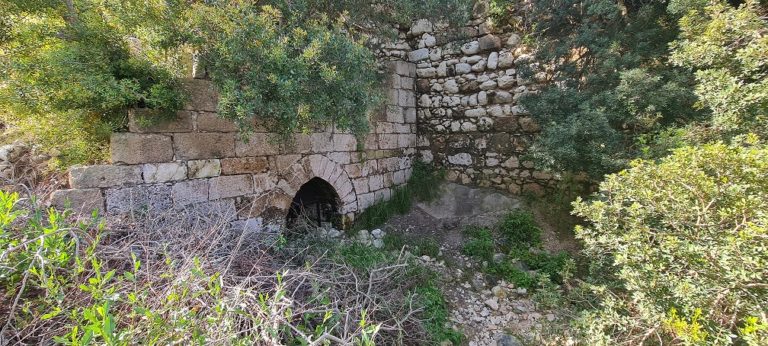 נחל שיח בוסתן כיאט חיפה