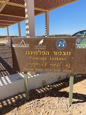 פארק הצפרות ובריכות הפלמנגו באילת