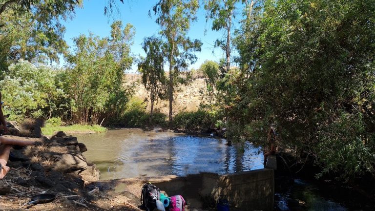 עין תות בריכת אניעם - במרכז רמת הגולן
