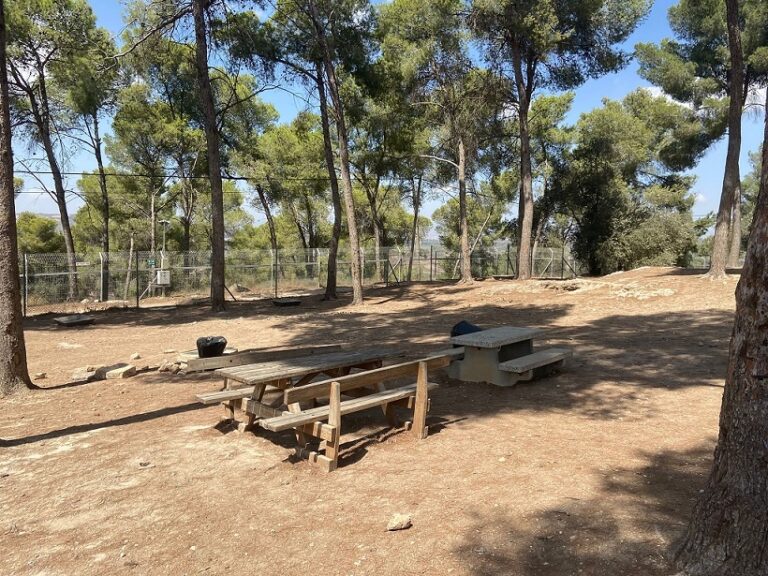 יער לביא צומת גולני - קרן קיימת לישראל