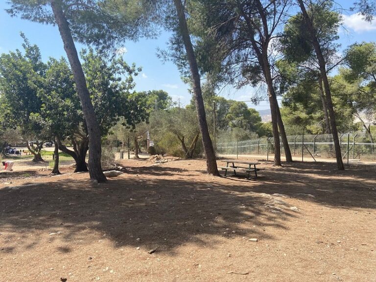 יער לביא צומת גולני - קרן קיימת לישראל