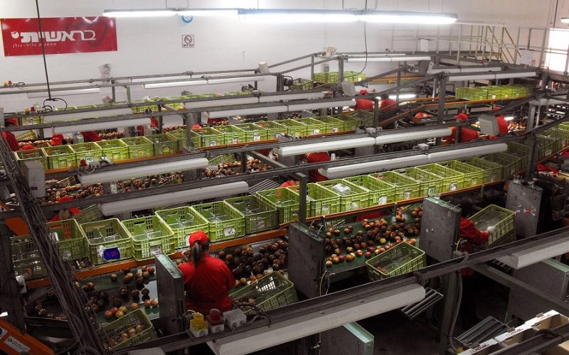 טיולים במרכזי מבקרים - טיולים לחורף או כשחם מדי