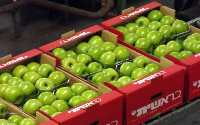 טיולים במרכזי מבקרים - טיולים לחורף או כשחם מדי