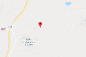 גבעת הרקפות