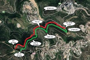 שביל המעיינות יער עמינדב – חרבת סעדים