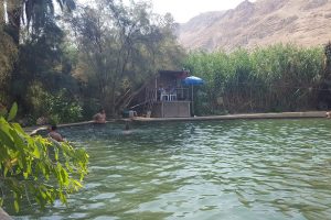 שמורת הטבע עיינות צוקים