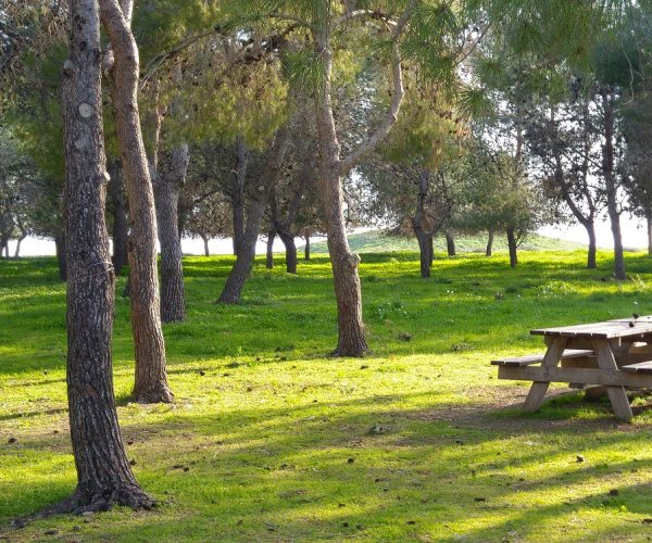 שמורת הטבע עין אפק מסלול ביצות – טיול ליד הבית