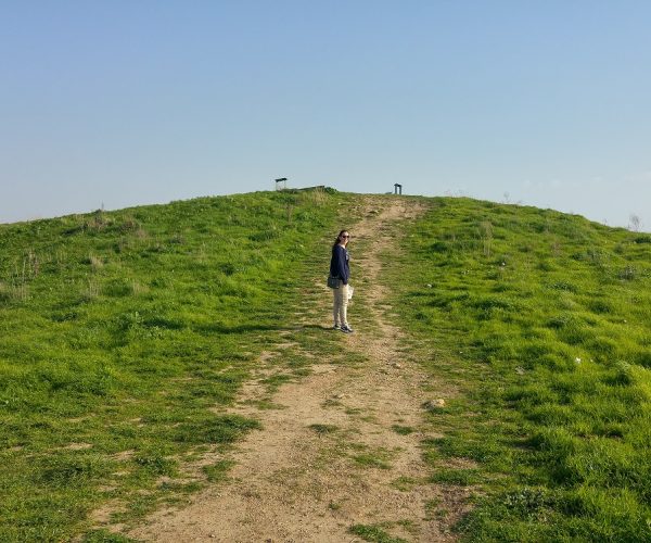 שמורת הטבע עין אפק מסלול ביצות – טיול ליד הבית