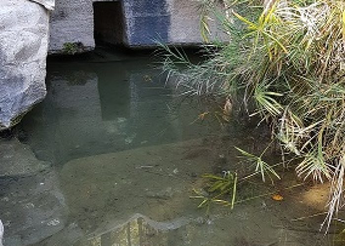 נחל השופט רמות מנשה