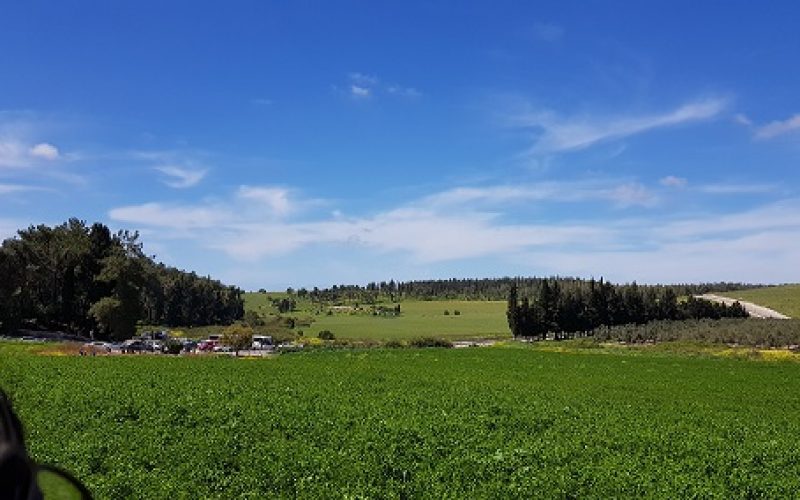 גבעת הרקפות רמות מנשה