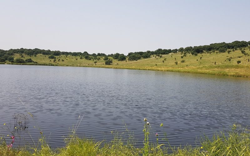 מאגר גלעד רמות מנשה