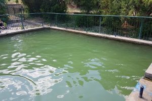 נחל שיח חיפה