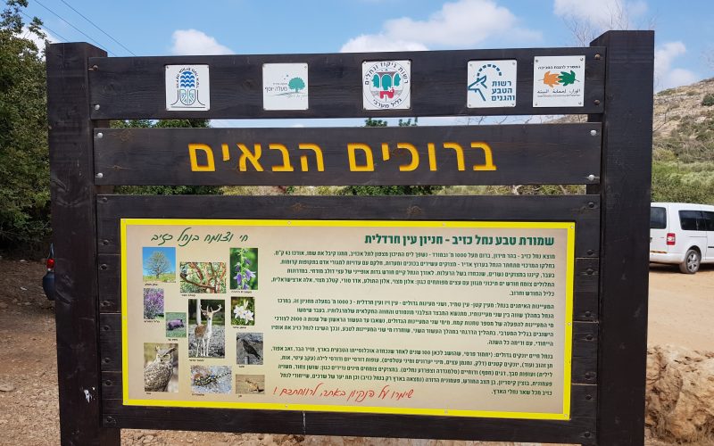 עין חרדלית נחל כזיב