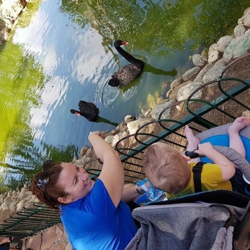 גן החיות התנכי ירושלים