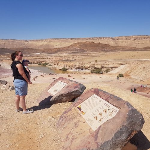 מכתש רמון המנסרה אבן רוח מים הים של מצפה