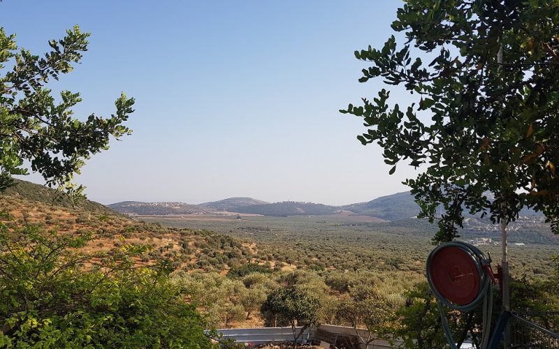 הבריכה הסודית ראמה