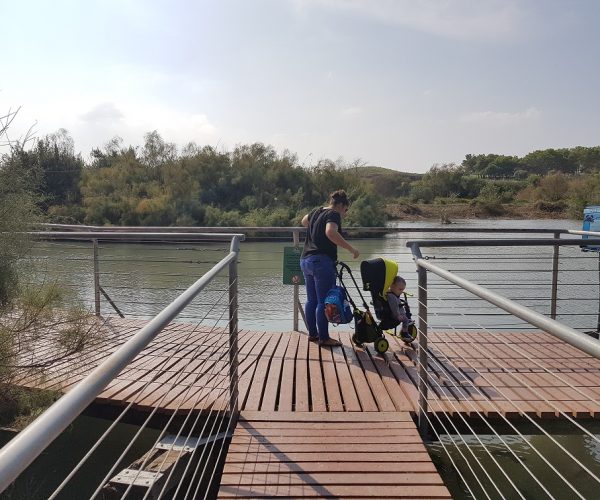 שמורת הטבע עין אפק מסלול ביצות – טיול ליד הבית