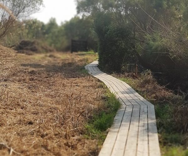 שמורת הטבע עין אפק