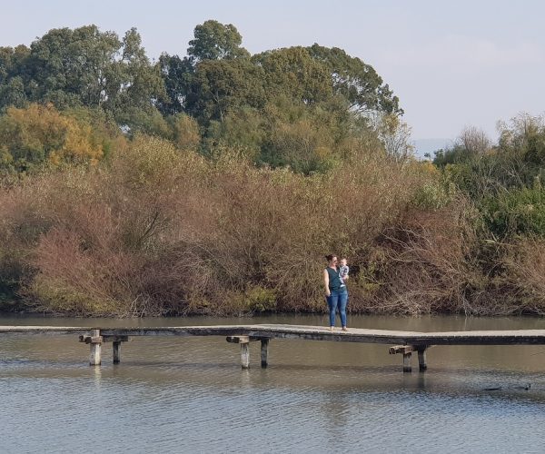 שמורת הטבע עין אפק מסלול ביצות – טיול ליד הבית