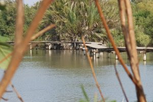 שמורת הטבע עין אפק מסלול ביצות – טיול ליד הבית לכל המשפחה