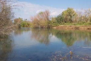 שמורת הטבע עין אפק