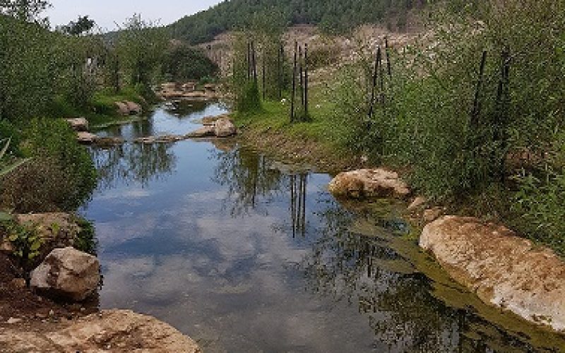 עין יבקע נחל ציפורי