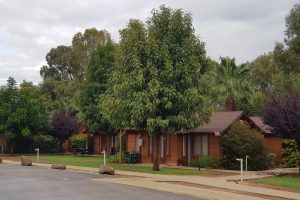 הנחה לרשת מלונות מטיילים - בשביל המשפחה