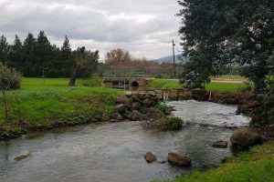 פארק דפנה טיול פריחה קיבוץ דפנה