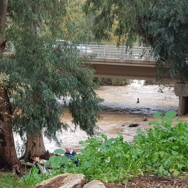 נחל שניר חצבני גן הצפון
