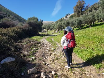 שמורת הטבע נחל ראש פינה