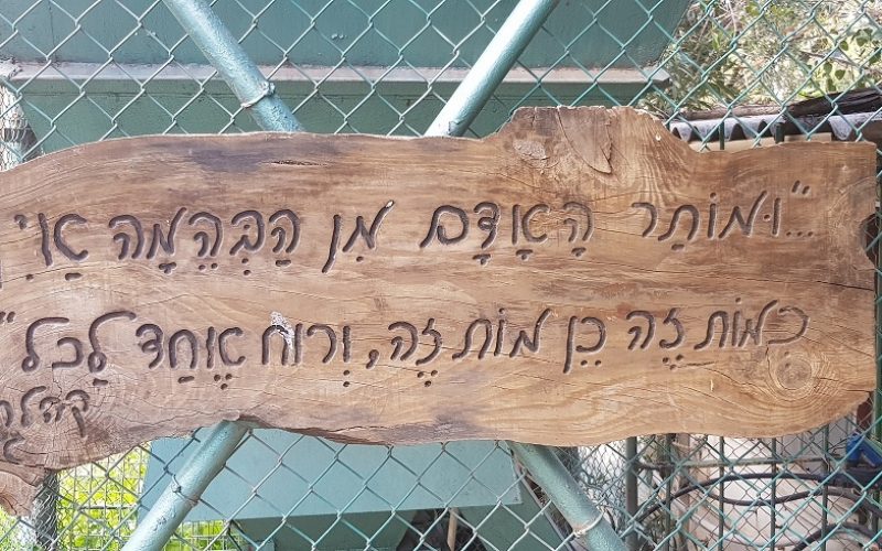 גן וחיות - גן חיות בקיבוץ דגניה א'