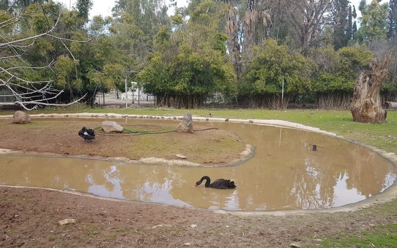 גן וחיות - גן חיות בקיבוץ דגניה א'