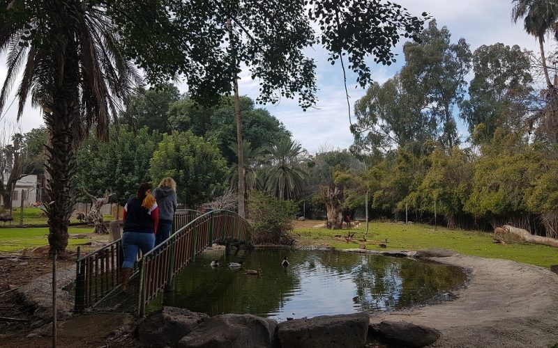 גן וחיות - גן חיות בקיבוץ דגניה א'