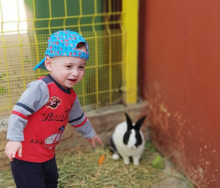 גן החיות הזואולוגי בנהריה