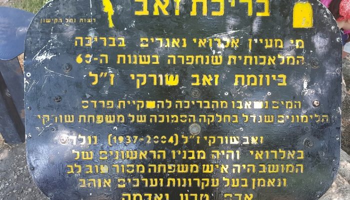 מעיין אלרואי ותחנת רכבת העמק המשוחזרת – שכשוך לצד היסטוריה