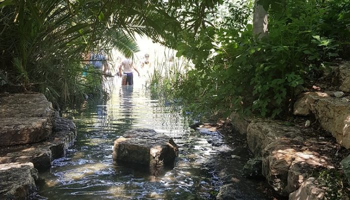 מעיין אלרואי ותחנת רכבת העמק המשוחזרת – שכשוך לצד היסטוריה